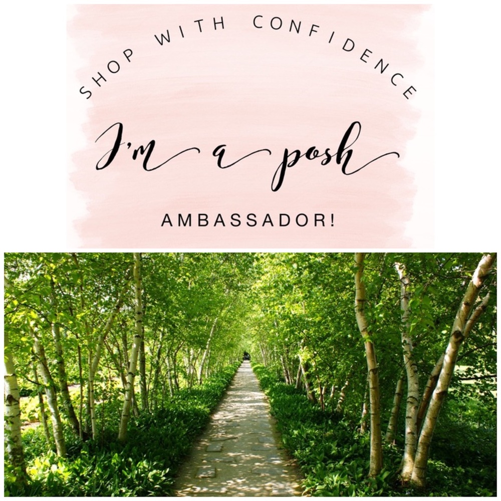 ❤️ I am a Posh Ambassador! ❤️